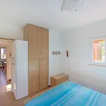 Nord - Goelba Appartement Fetovaia